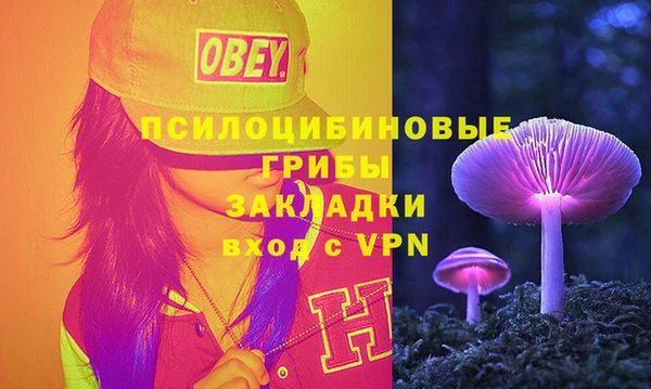 мдпв Беломорск