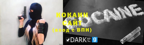 прущие грибы Богданович
