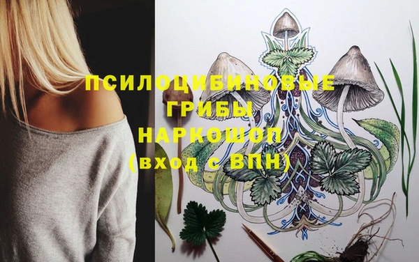 прущие грибы Богданович