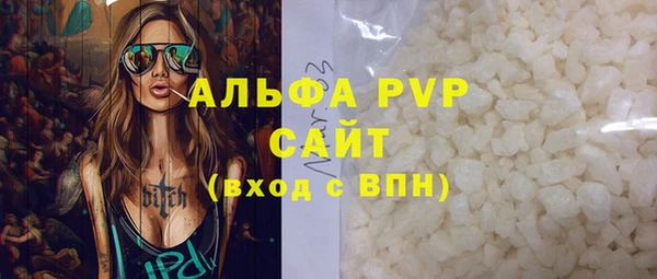 прущие грибы Богданович