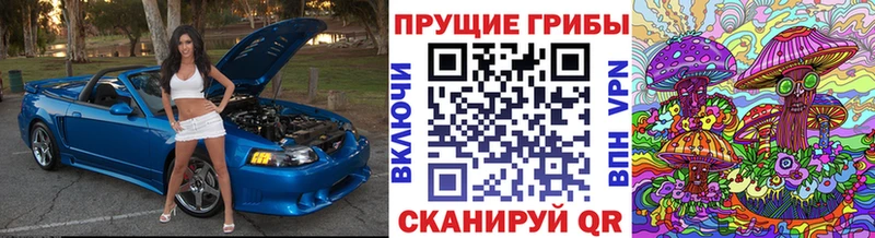 Галлюциногенные грибы Magic Shrooms  omg ссылка  Белокуриха 