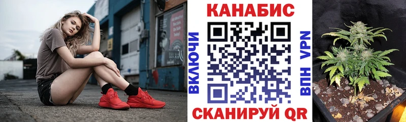 Бошки марихуана гибрид сайты даркнета наркотические препараты Белокуриха